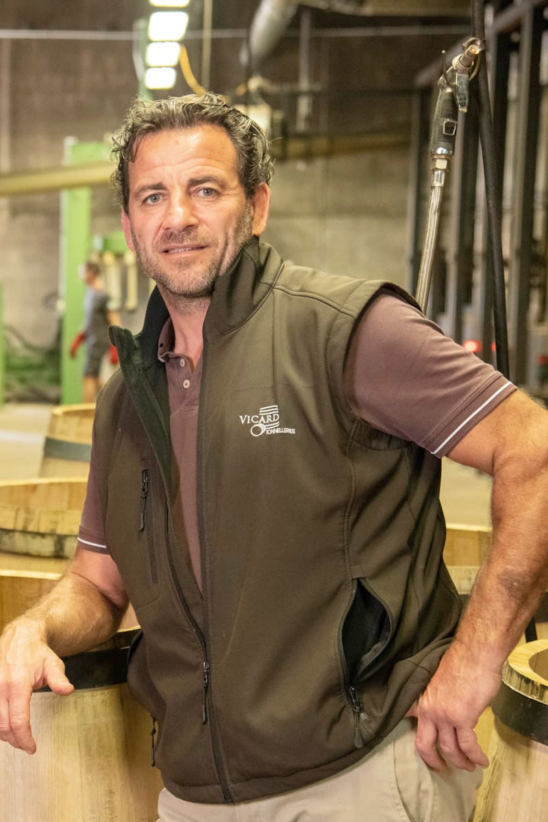 Nos chênes commencent une seconde vie